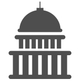 US govt icon