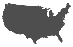 Icon of the USA