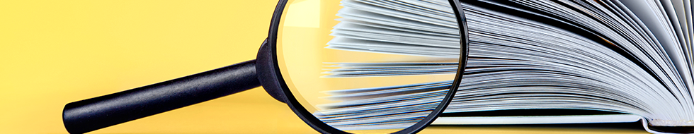 What is the Individual Mandate and how does it link with MEC?