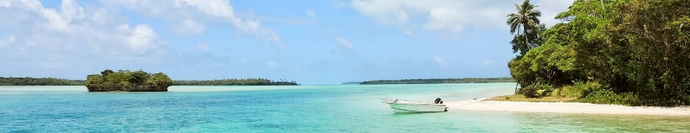 Private Health Insurance in Jamaica