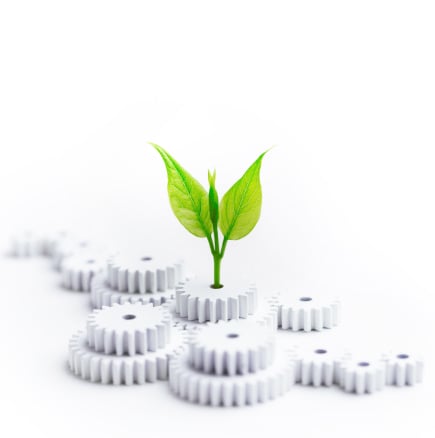 Corporate Social Responsibility
