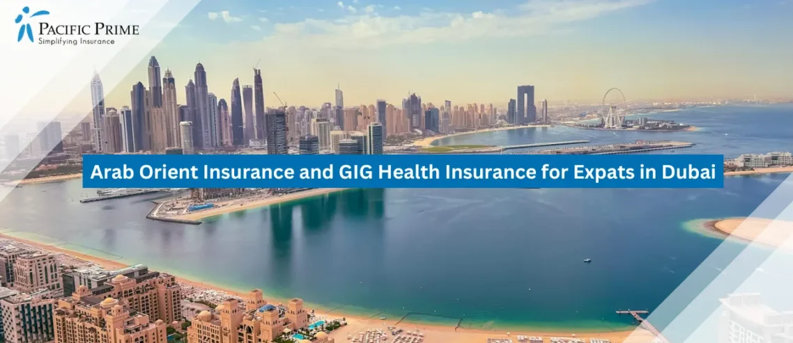 Image of Aerial View Of Dubai Marina With Waterfront And City Skyline with text overlay of "Arab Orient Insurance and GIG Health Insurance for Expats in Dubai"